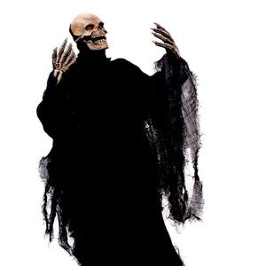 Death Halloween costume